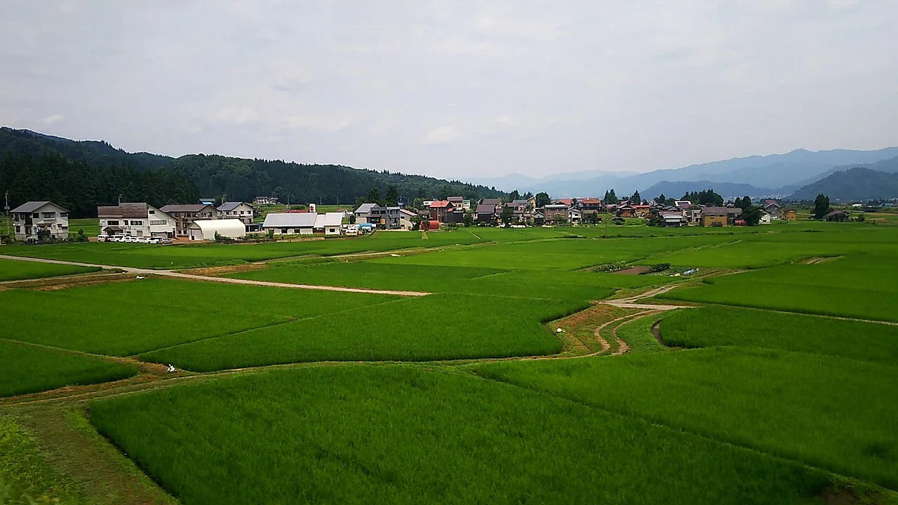 新潟県十日町市に広がる水田